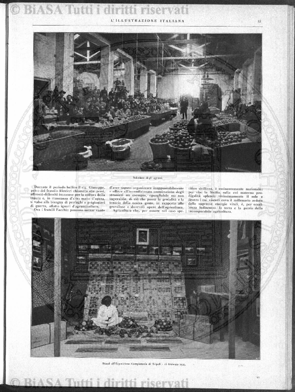 n. 7 (1904) - Pagina: 53