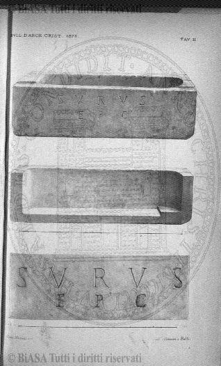 v. 11, n. 11 (1844-1845) - Pagina: 81
