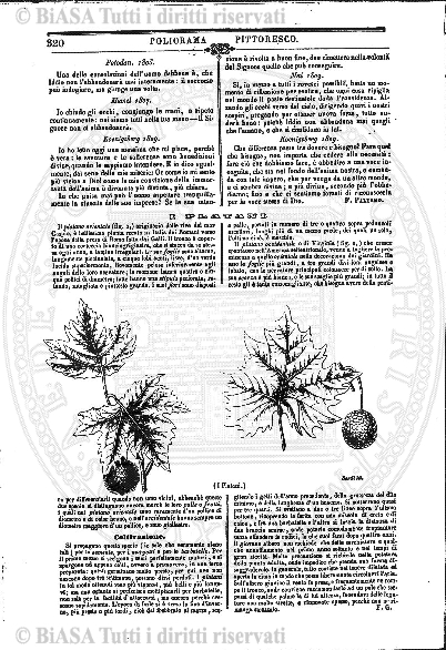 v. 1, n. 9 (1867) - Sommario: p. 129