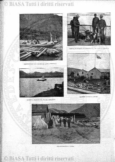 v. 7, n. 43 (1780-1781) - Pagina: 337