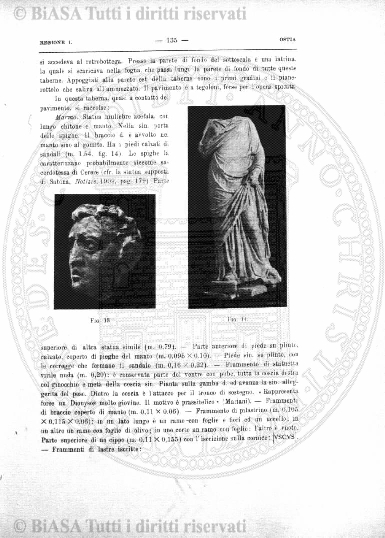 v. 11, n. 6 (1902) - Pagina: 81