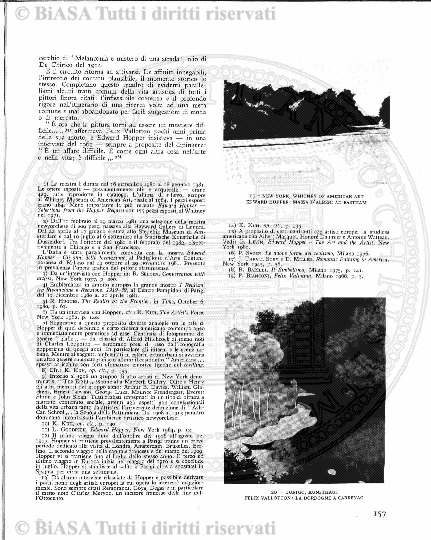 v. 21, n. 35 (1854-1855) - Pagina: 273