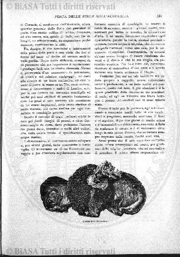 v. 15, n. 51 (1788-1789) - Pagina: 401