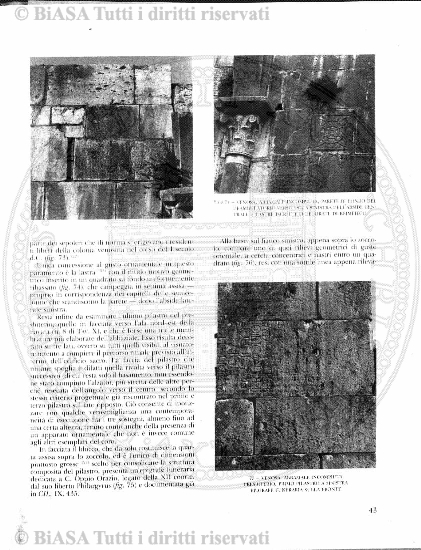 n.s., v. 2, n. 5 (1931) - Frontespizio e sommario