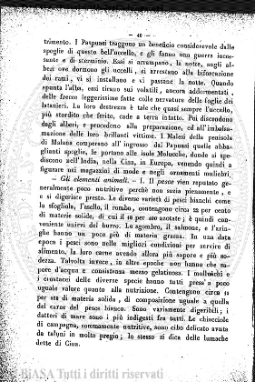 n. 6 (1899) - Frontespizio