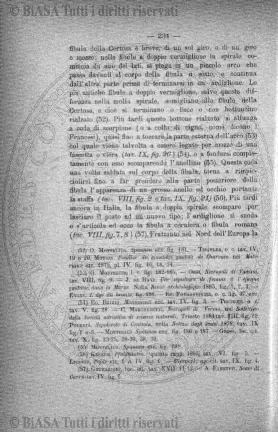 v. 12, n. 28 (1785-1786) - Pagina: 217