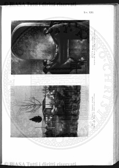 n. 8 (1904) - Pagina: 61