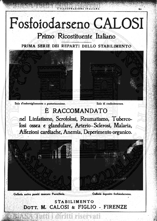 s. 2, n. 43 (1890-1891) - Pagina: 1009