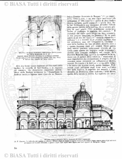 n. 18 (1846-1847) - Pagina: 137