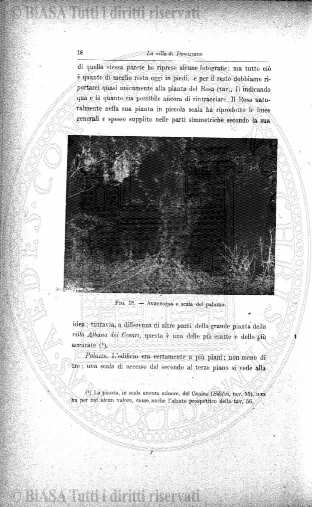 v. 6, n. 43 (1841-1842) - Pagina: 337