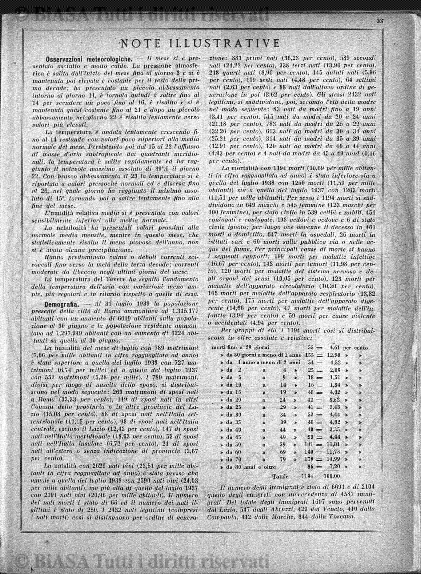 n. 4 (1902) - Pagina: 29