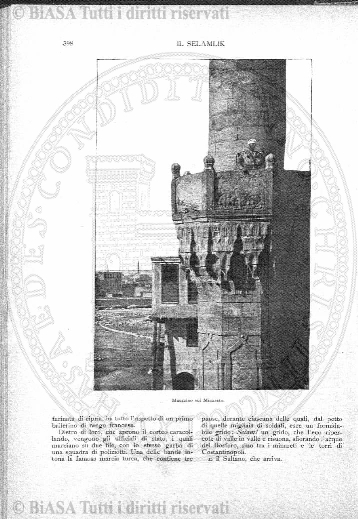 s. 3, n. 24 (1901) - Pagina: 153 e sommario