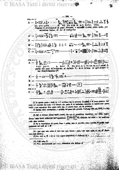 v. 14, n. 7 (1905) - Pagina: 97