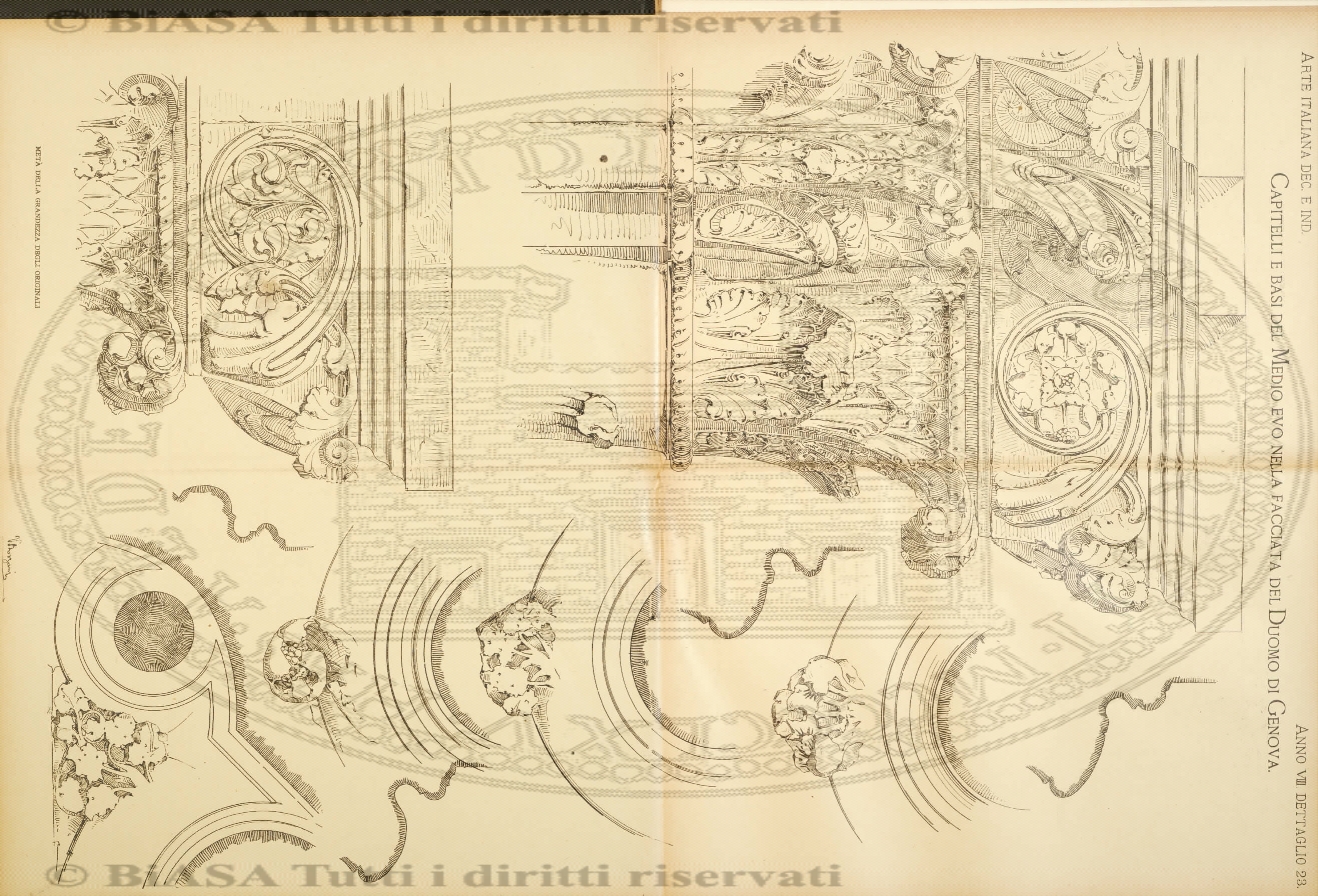 n. 8-9 (1884) - Pagina: 161