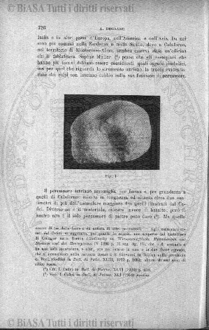 n. 35 (1784) - Pagina: 273