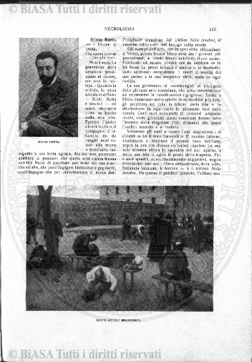 v. 3, n. 5 (1836-1837) - Pagina: 33