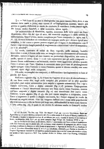 n. 3 (1956) - Pagina: 65