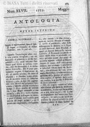 n.s., n. 21 (1896) - Pagina: 161 e sommario