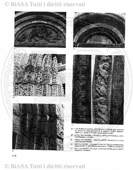 v. 12, n. 43 (1845-1846) - Pagina: 337