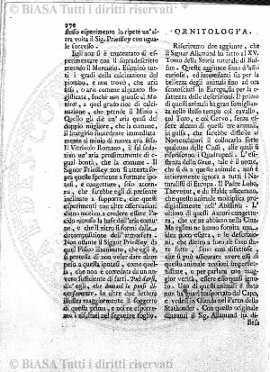 n.s., n. 8 (1896) - Occhietto