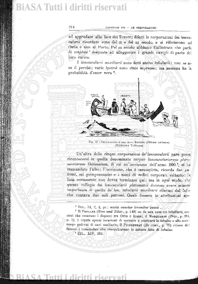 n.s., n. 8 (1896) - Occhietto