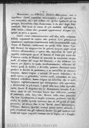 s. 2, n. 19 (1890-1891) - Pagina: 433