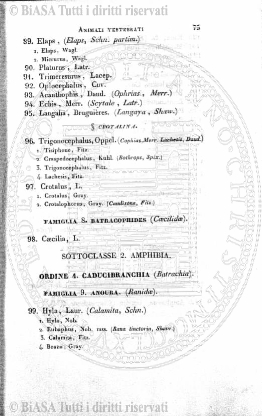 n. 5 (1840) - Pagina: 81