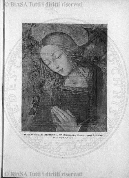 n. 5-6 (1903) - Copertina: 1