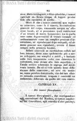 n. 6 (1902) - Copertina: 1 e sommario