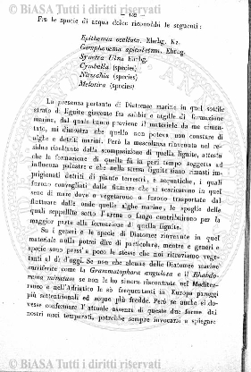 n. 12 (1918) - Copertina: 1
