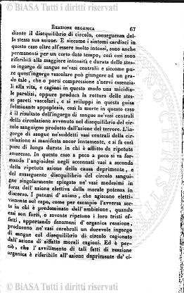 n. 5 (1904) - Pagina: 37