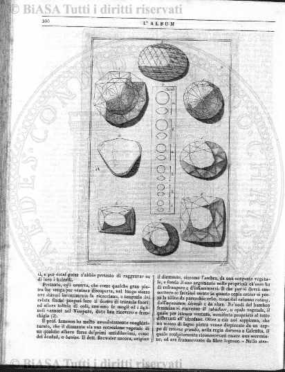 v. 12, n. 48 (1845-1846) - Pagina: 377