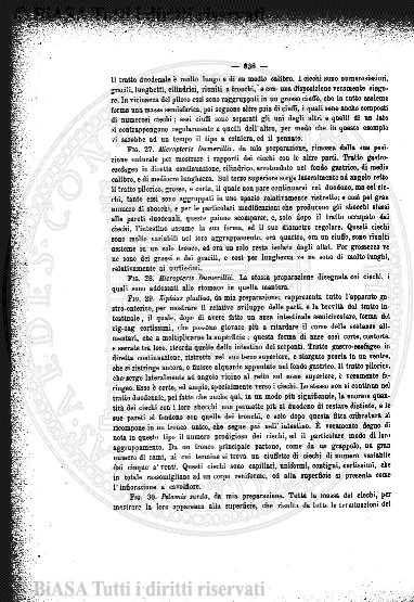 n. 10 (1932) - Pagina: 109