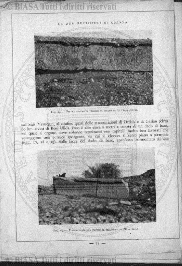 n. 12 (1931) - Copertina: 1