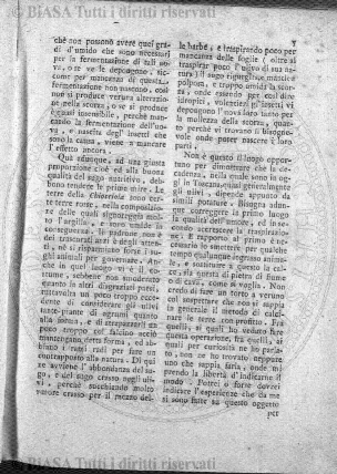 v. 2, n. 4-5 (1916) - Tavola fuori testo