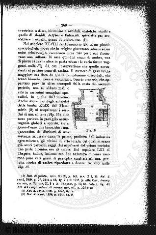 s. 3, n. 10, n. 4-6 (1904) - Pagina: 85