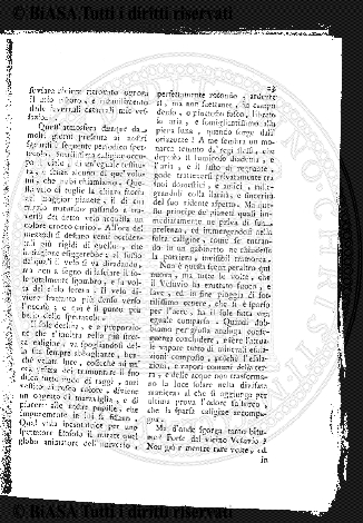 n. 7 (1930) - Pagina: 1