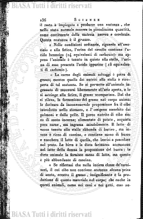 Indice topografico (1893) - Frontespizio