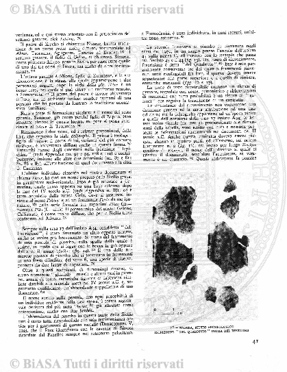 n. 6 (1836) - Pagina: 81