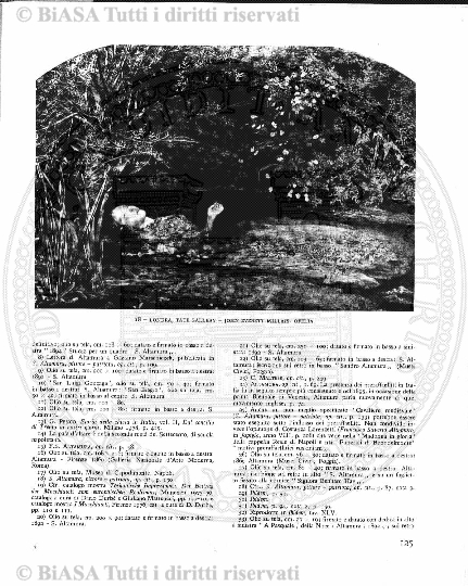 n. 10-12 (1904) - Copertina: 1