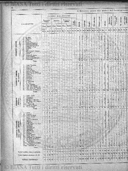 n. 13 (1891) - Frontespizio