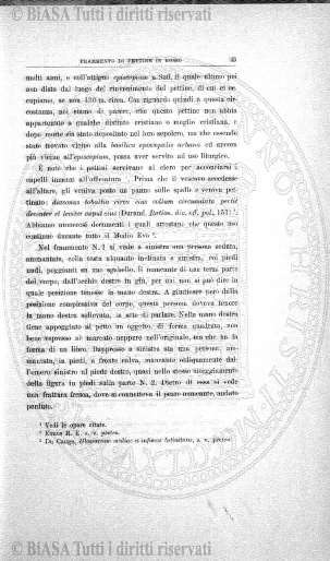 v. 19, n. 44 (1852-1853) - Pagina: 345