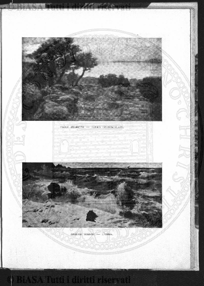 n. 29 (1784) - Pagina: 225