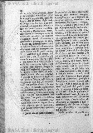 n. 20 (1887) - Frontespizio