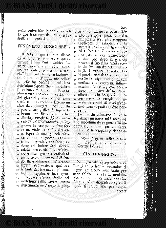 v. 19, n. 43 (1792-1793) - Pagina: 331