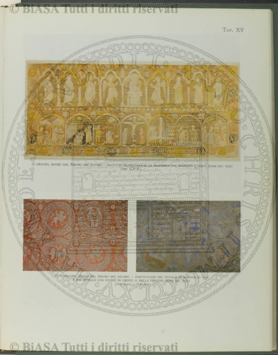 n. 5 (1924) - Pagina: 49