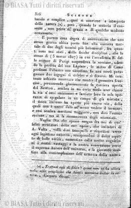 n. 20 (1911) - Frontespizio