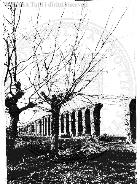 n. 44 (1787) - Pagina: 343