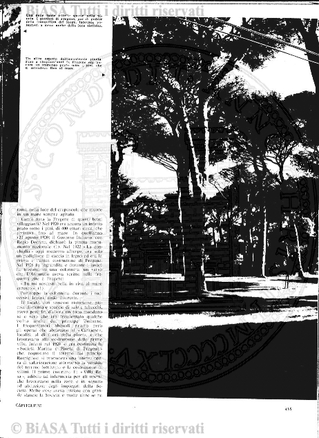 n. 23 (1907) - Frontespizio