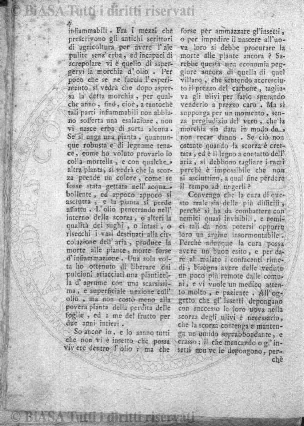 v. 1, n. 46 (1774-1775) - Pagina: 361